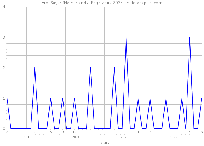 Erol Sayar (Netherlands) Page visits 2024 