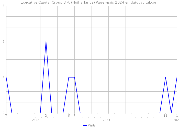 Executive Capital Group B.V. (Netherlands) Page visits 2024 