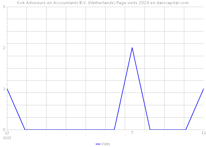 Kok Adviseurs en Accountants B.V. (Netherlands) Page visits 2024 
