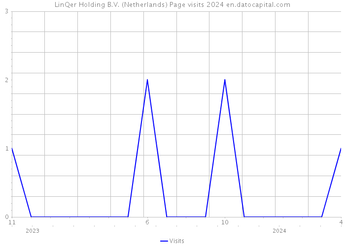 LinQer Holding B.V. (Netherlands) Page visits 2024 