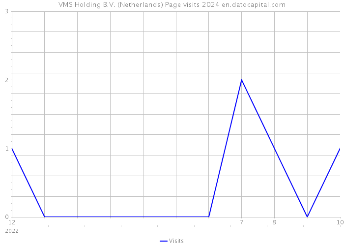 VMS Holding B.V. (Netherlands) Page visits 2024 