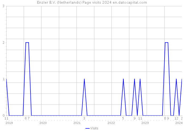 Enzler B.V. (Netherlands) Page visits 2024 