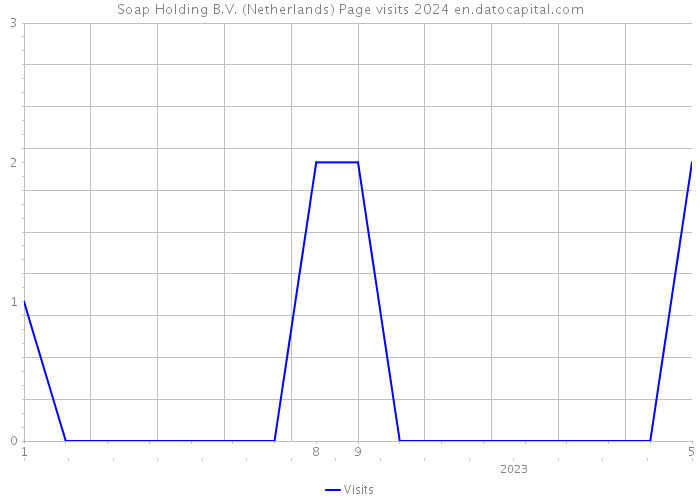 Soap Holding B.V. (Netherlands) Page visits 2024 