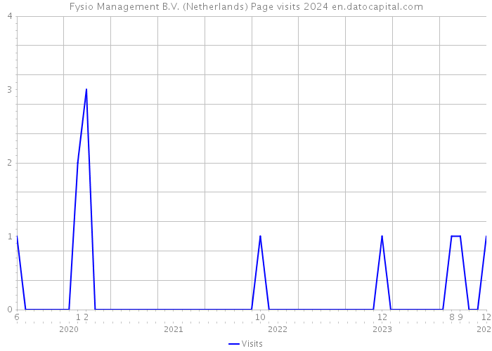 Fysio Management B.V. (Netherlands) Page visits 2024 