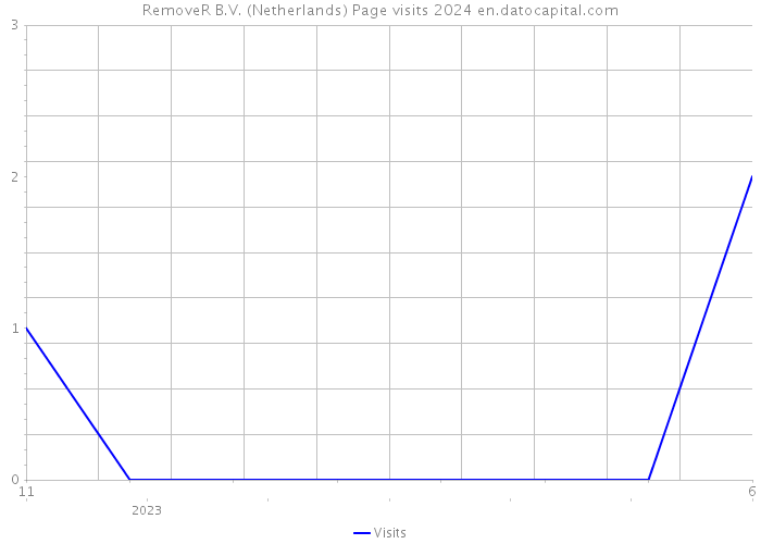 RemoveR B.V. (Netherlands) Page visits 2024 