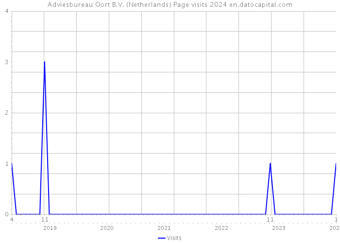 Adviesbureau Oort B.V. (Netherlands) Page visits 2024 