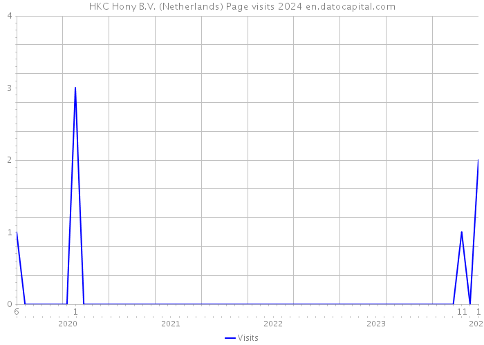 HKC Hony B.V. (Netherlands) Page visits 2024 