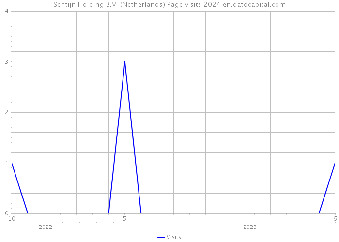 Sentijn Holding B.V. (Netherlands) Page visits 2024 