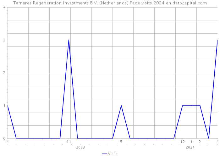 Tamares Regeneration Investments B.V. (Netherlands) Page visits 2024 