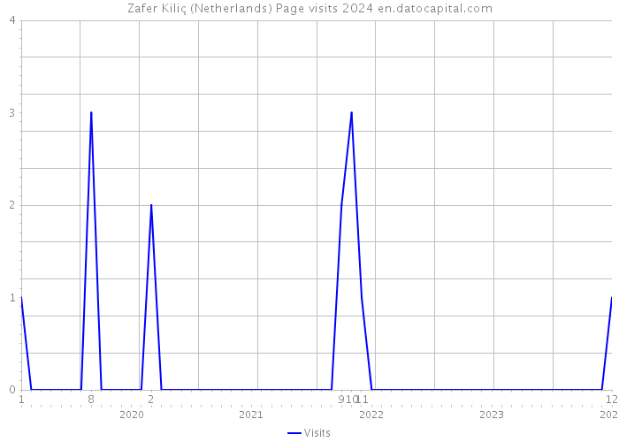 Zafer Kiliç (Netherlands) Page visits 2024 