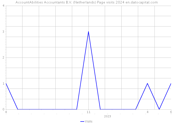 AccountAbilities Accountants B.V. (Netherlands) Page visits 2024 
