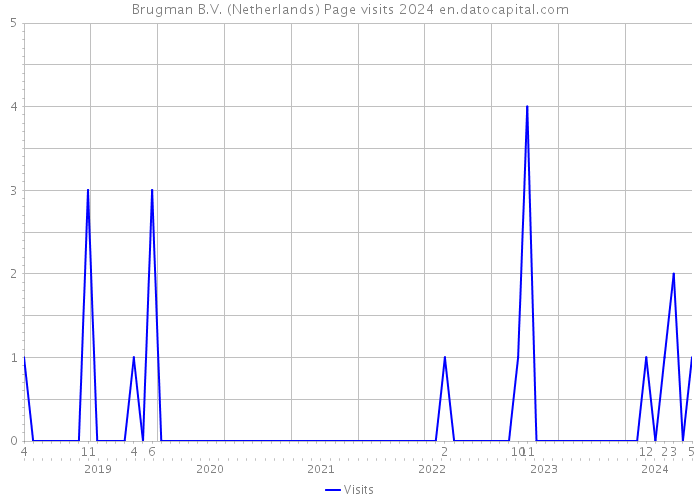 Brugman B.V. (Netherlands) Page visits 2024 