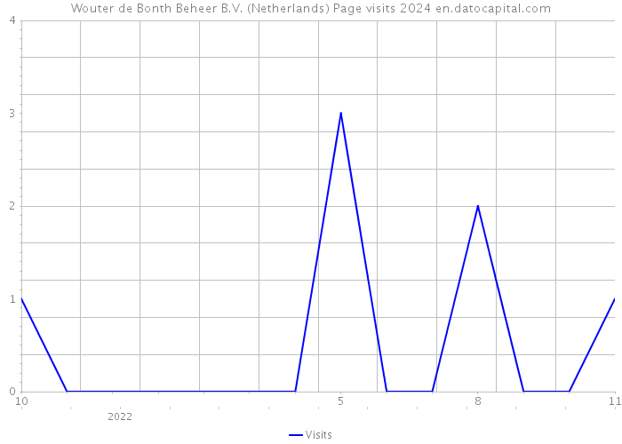 Wouter de Bonth Beheer B.V. (Netherlands) Page visits 2024 