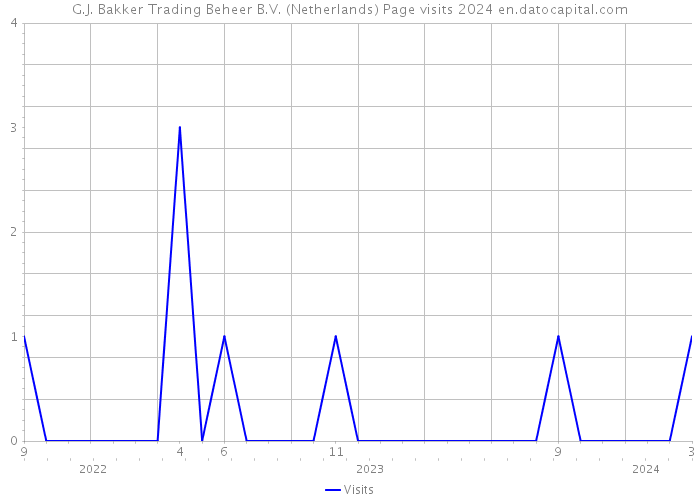 G.J. Bakker Trading Beheer B.V. (Netherlands) Page visits 2024 