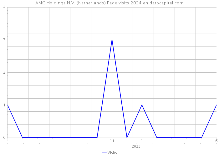 AMC Holdings N.V. (Netherlands) Page visits 2024 