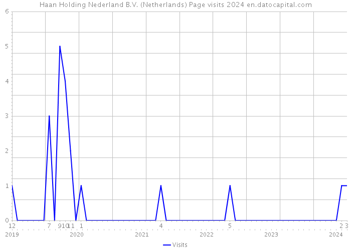 Haan Holding Nederland B.V. (Netherlands) Page visits 2024 