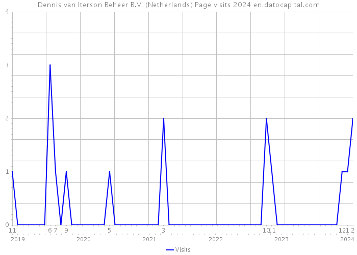 Dennis van Iterson Beheer B.V. (Netherlands) Page visits 2024 