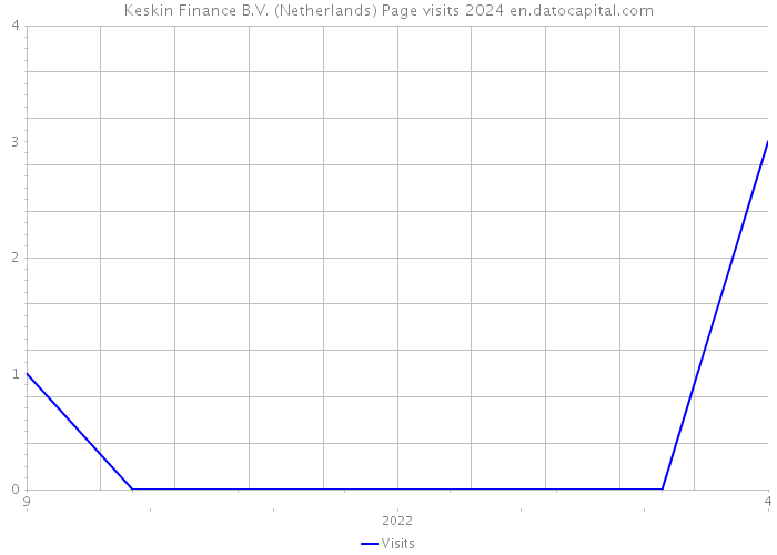 Keskin Finance B.V. (Netherlands) Page visits 2024 