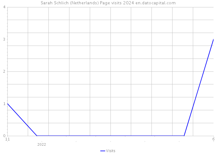 Sarah Schlich (Netherlands) Page visits 2024 