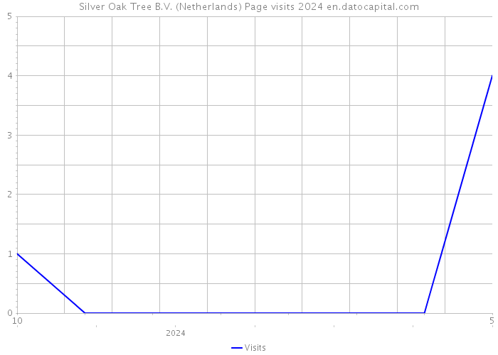 Silver Oak Tree B.V. (Netherlands) Page visits 2024 
