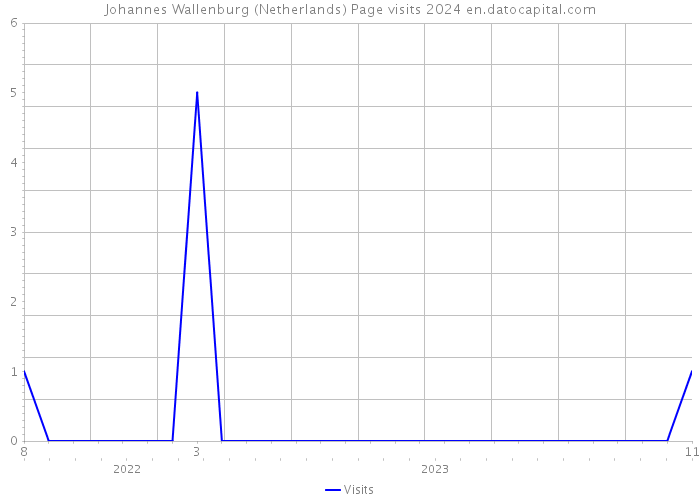 Johannes Wallenburg (Netherlands) Page visits 2024 