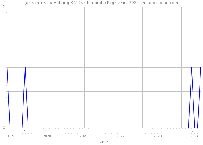 Jan van 't Veld Holding B.V. (Netherlands) Page visits 2024 