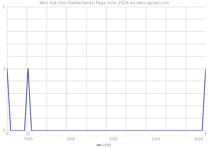 Won Suk Kim (Netherlands) Page visits 2024 