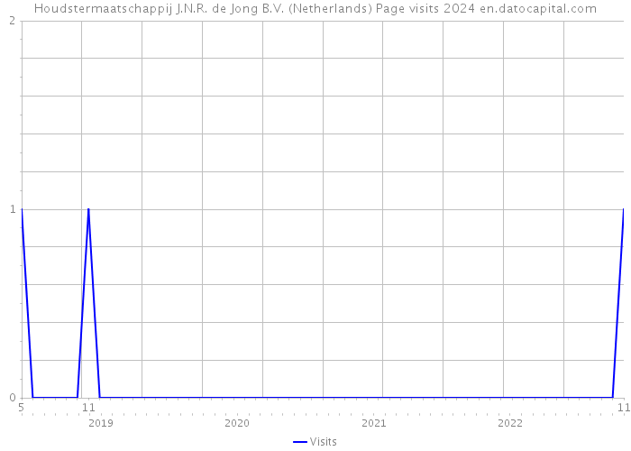 Houdstermaatschappij J.N.R. de Jong B.V. (Netherlands) Page visits 2024 
