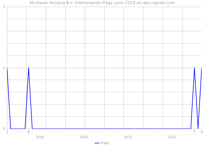 Montasar Holding B.V. (Netherlands) Page visits 2024 