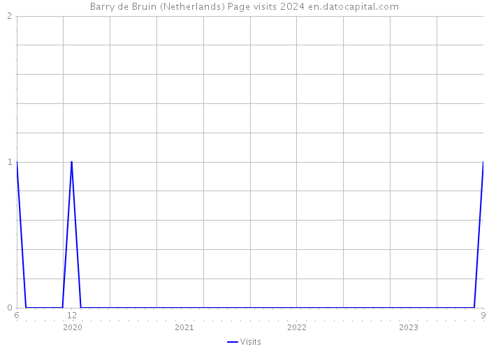 Barry de Bruin (Netherlands) Page visits 2024 