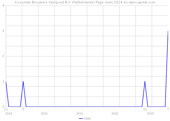 Koopman Brouwers Vastgoed B.V. (Netherlands) Page visits 2024 
