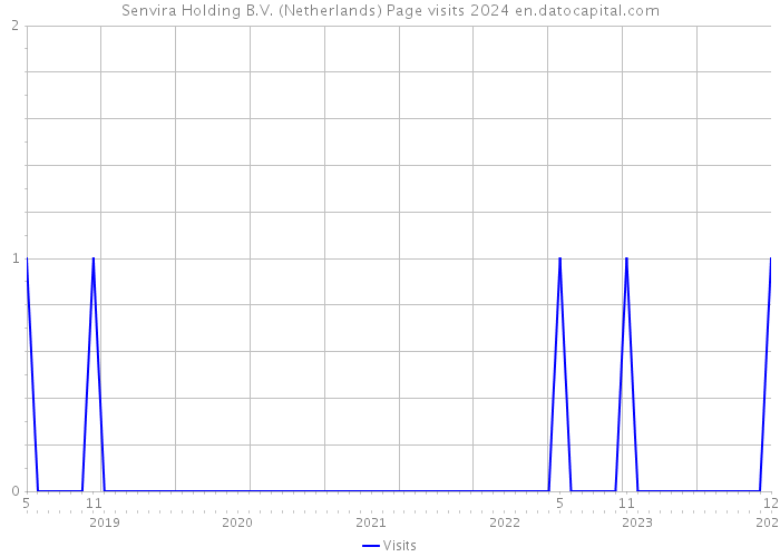 Senvira Holding B.V. (Netherlands) Page visits 2024 