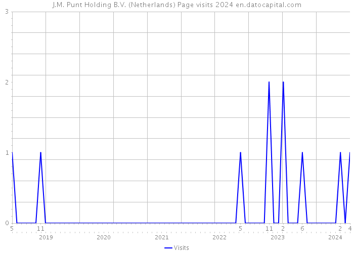 J.M. Punt Holding B.V. (Netherlands) Page visits 2024 
