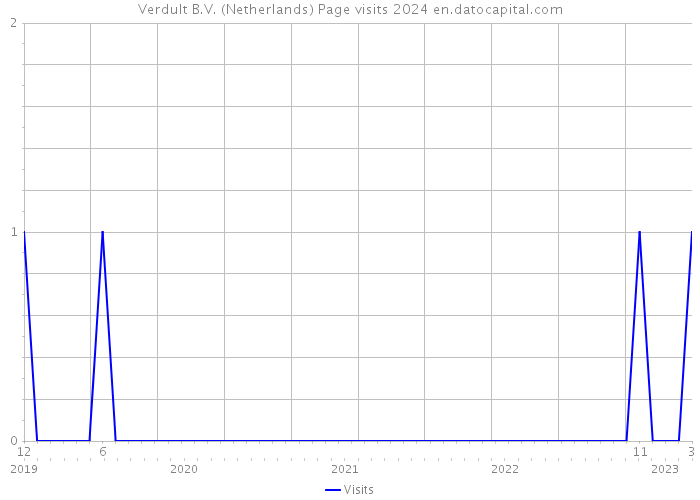 Verdult B.V. (Netherlands) Page visits 2024 