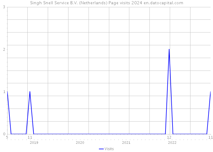 Singh Snell Service B.V. (Netherlands) Page visits 2024 