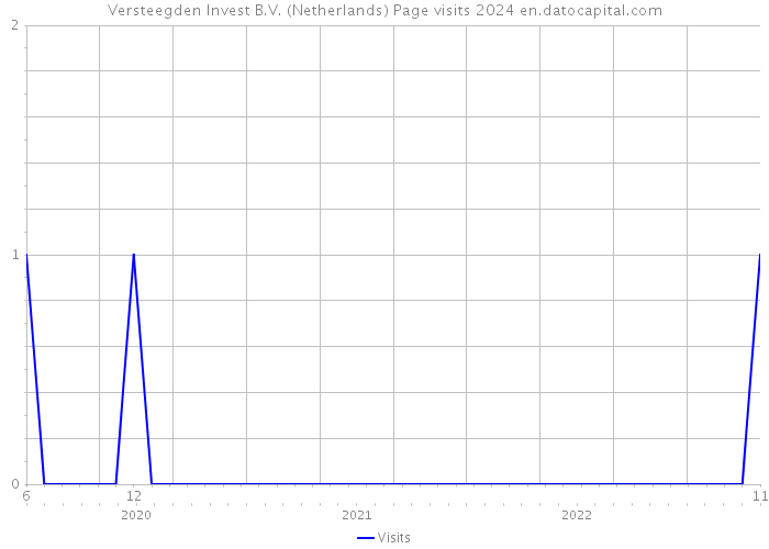 Versteegden Invest B.V. (Netherlands) Page visits 2024 