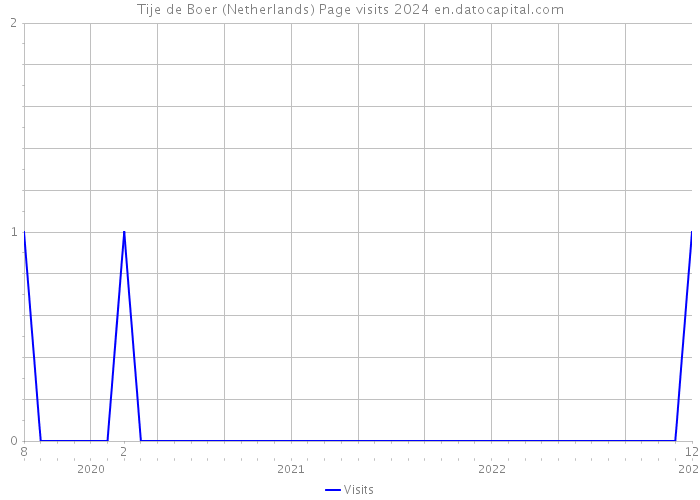 Tije de Boer (Netherlands) Page visits 2024 