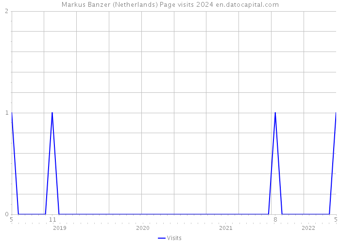 Markus Banzer (Netherlands) Page visits 2024 