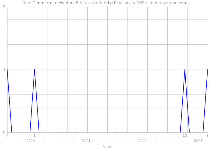 Roel Timmerman Holding B.V. (Netherlands) Page visits 2024 