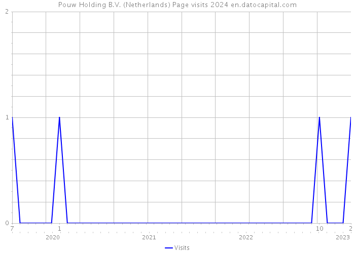 Pouw Holding B.V. (Netherlands) Page visits 2024 