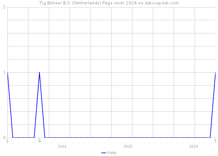 Tig Beheer B.V. (Netherlands) Page visits 2024 
