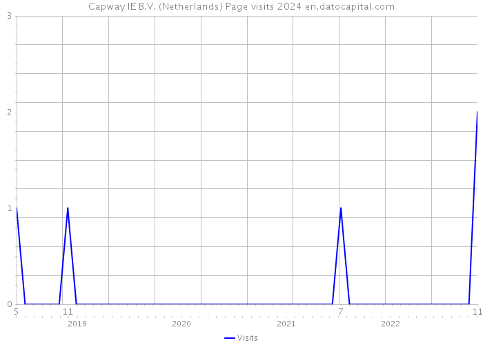 Capway IE B.V. (Netherlands) Page visits 2024 