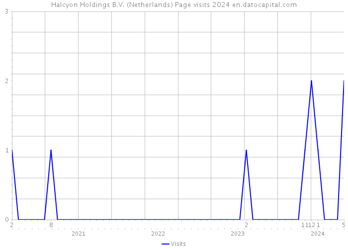 Halcyon Holdings B.V. (Netherlands) Page visits 2024 