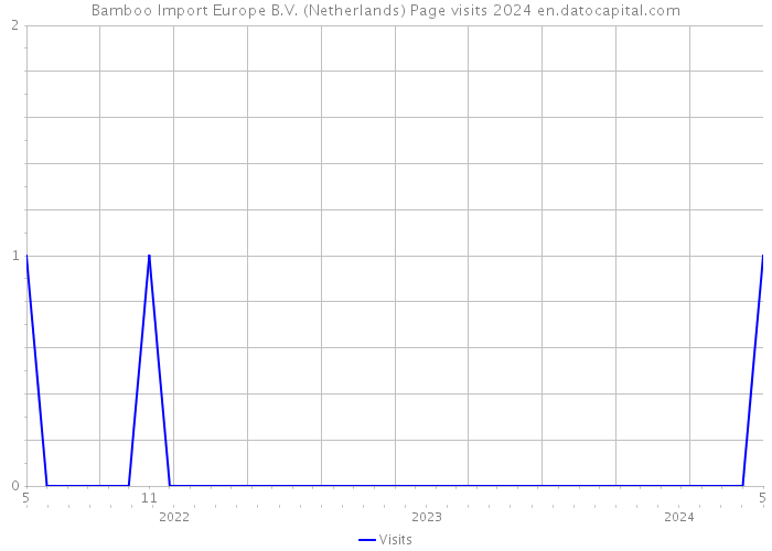 Bamboo Import Europe B.V. (Netherlands) Page visits 2024 