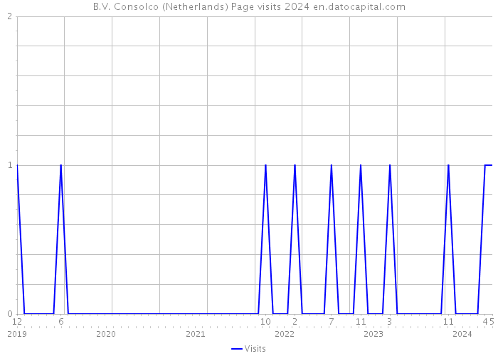 B.V. Consolco (Netherlands) Page visits 2024 