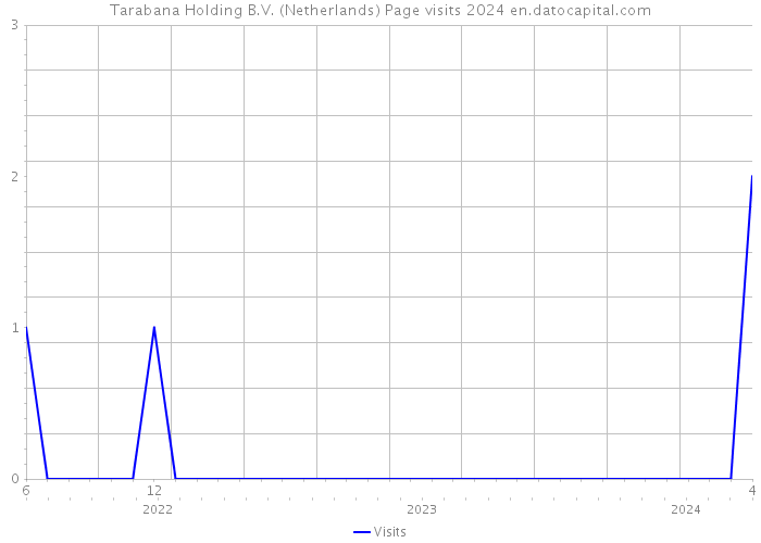 Tarabana Holding B.V. (Netherlands) Page visits 2024 