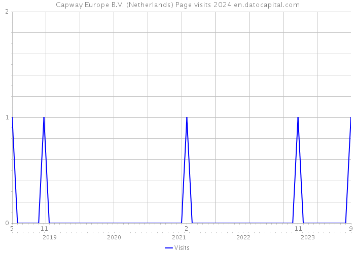 Capway Europe B.V. (Netherlands) Page visits 2024 