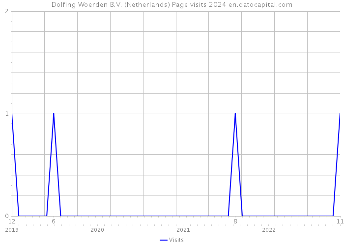 Dolfing Woerden B.V. (Netherlands) Page visits 2024 
