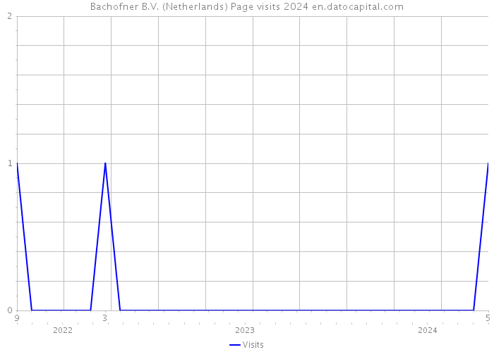 Bachofner B.V. (Netherlands) Page visits 2024 