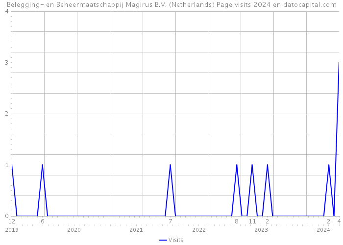 Belegging- en Beheermaatschappij Magirus B.V. (Netherlands) Page visits 2024 